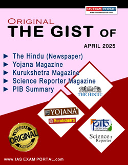 THE GIST MAG