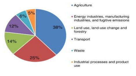 carbon tax in india 1