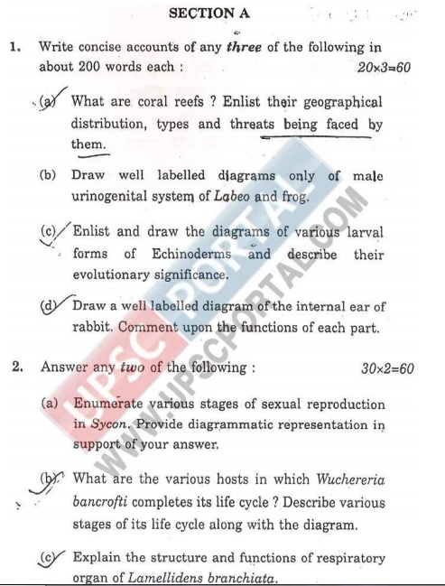 (Download) UPSC Mains 2010 : Zoology Question Paper- I (In English